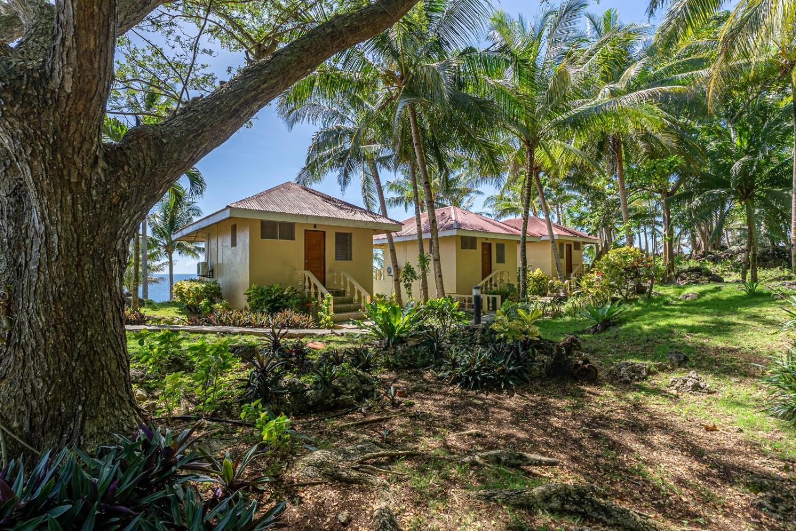 Blue Star Dive And Resort Anda  Exterior photo